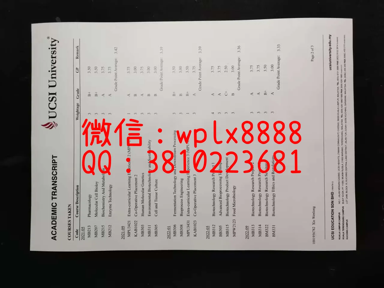 思特雅大学