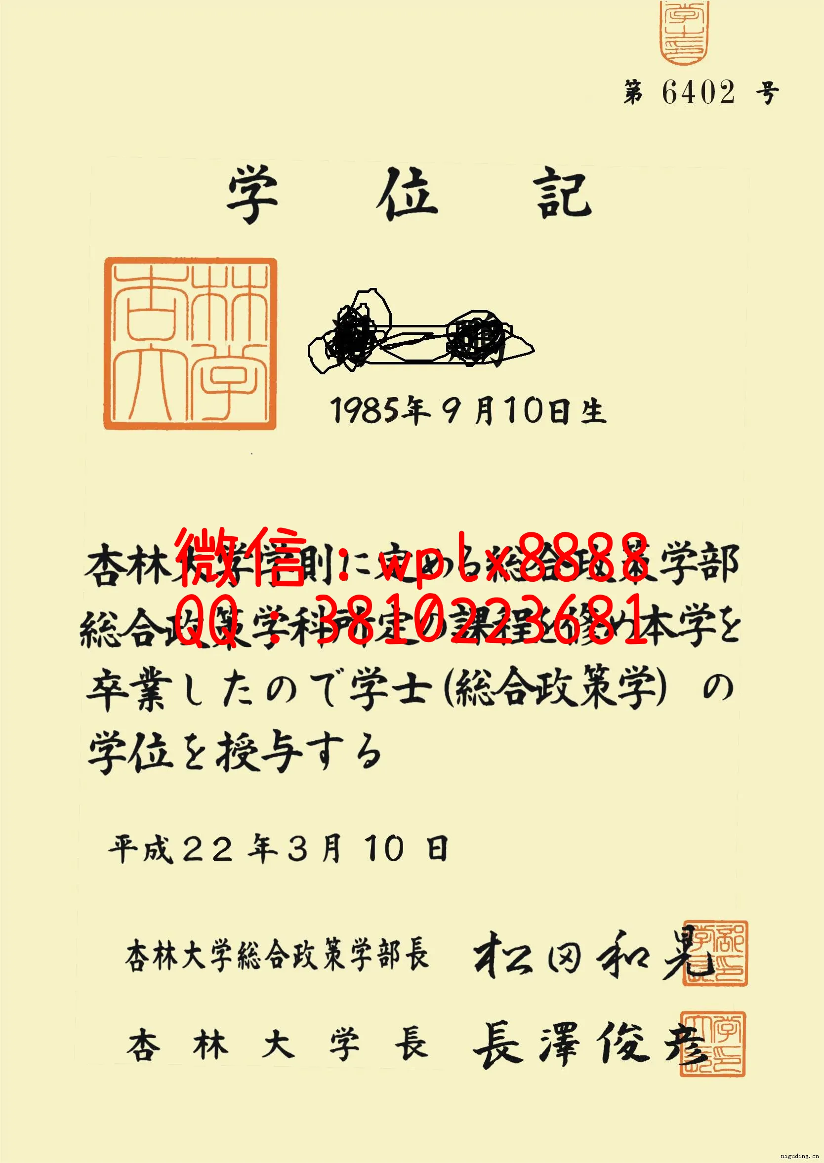 日本杏林大学