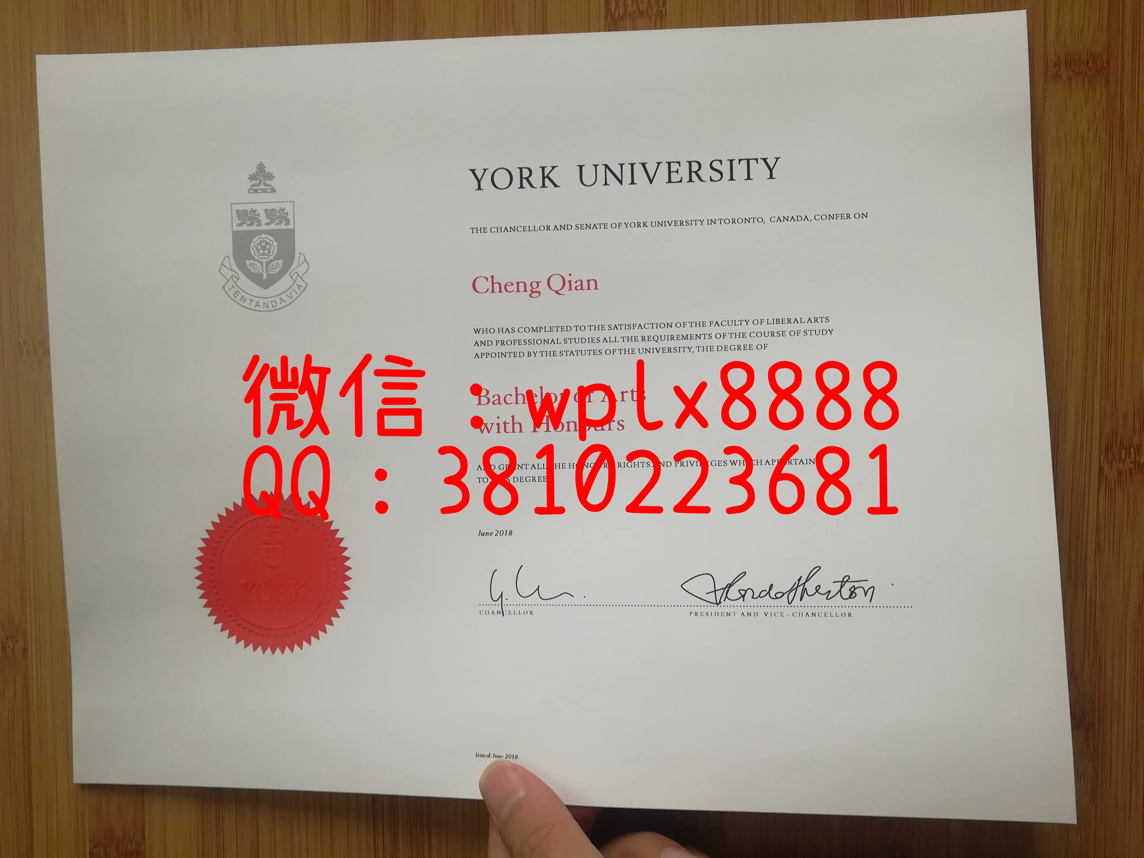 约克大学
