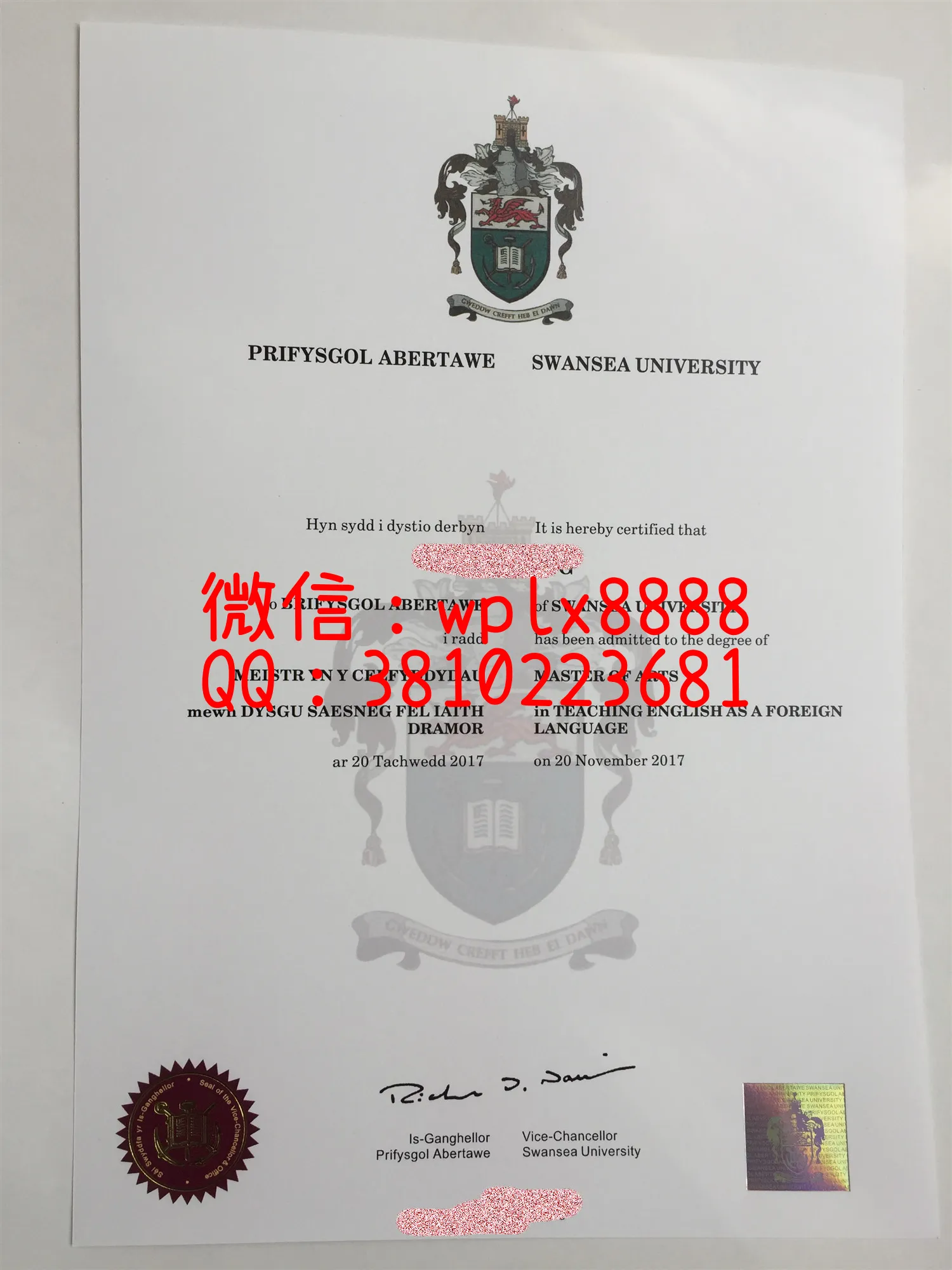 斯旺西大学