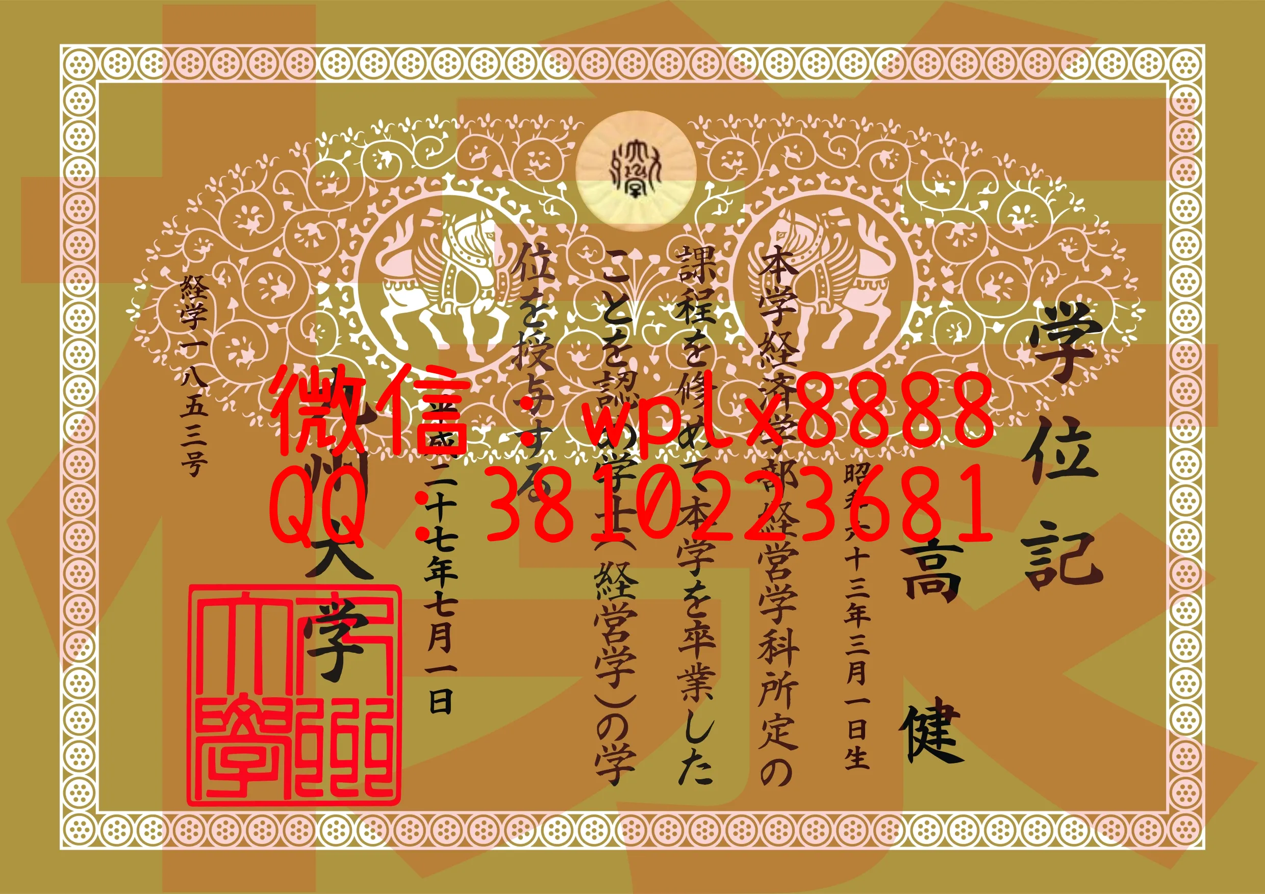 九州大学