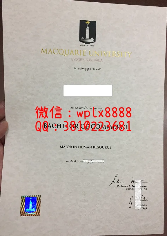 麦考瑞大学