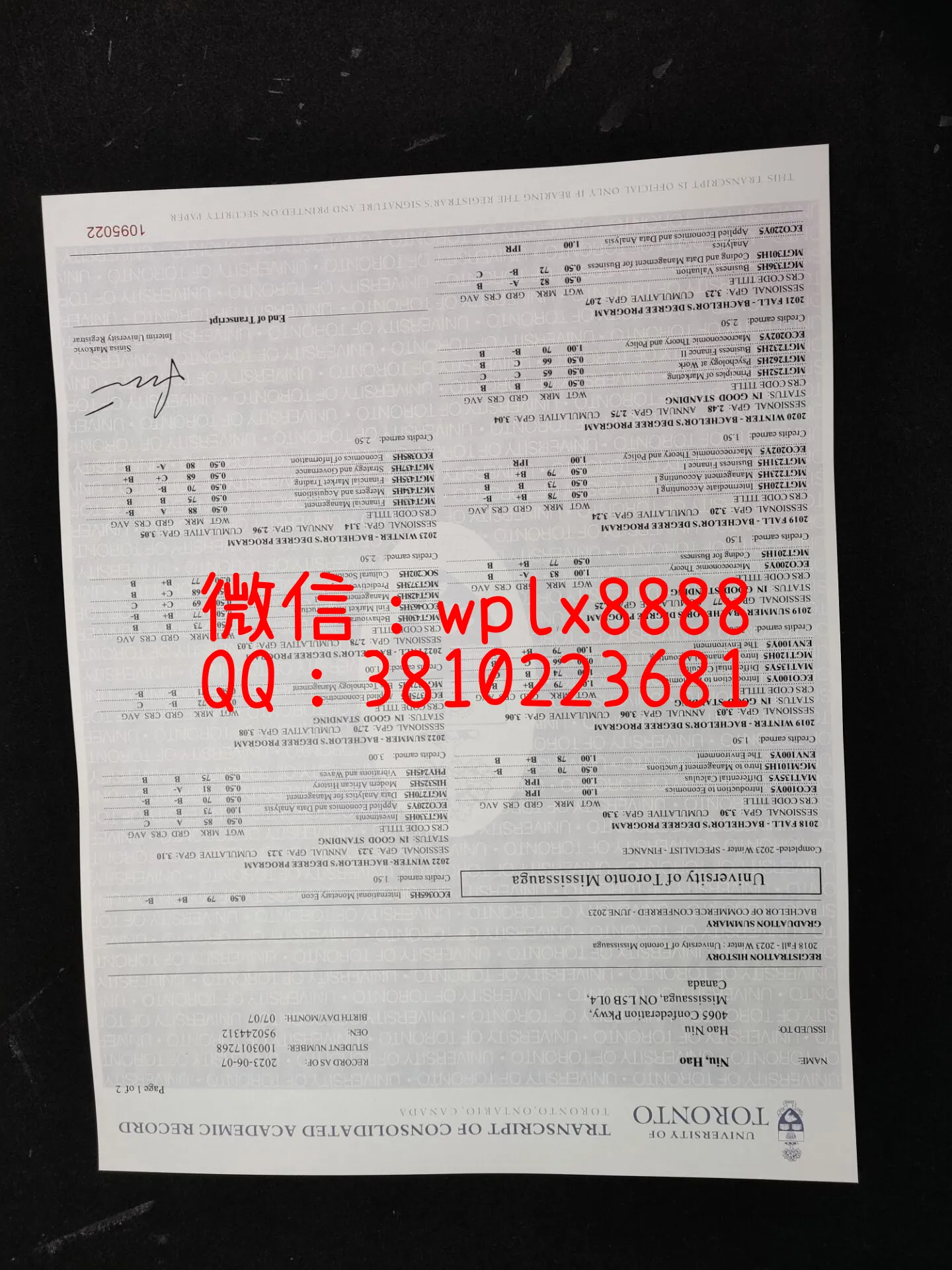 多伦多大学