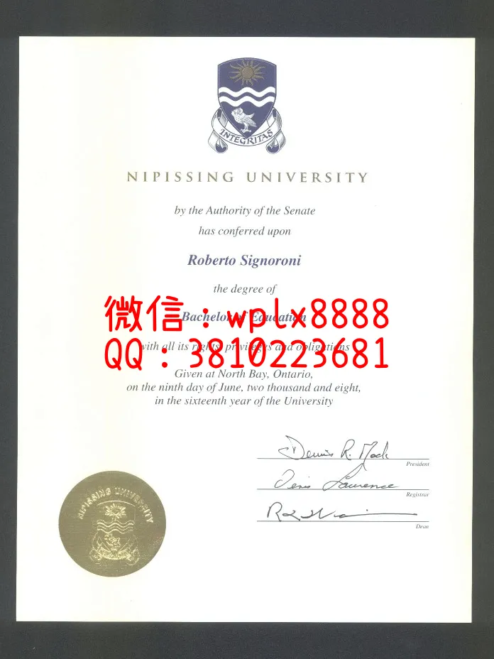 尼皮辛大学