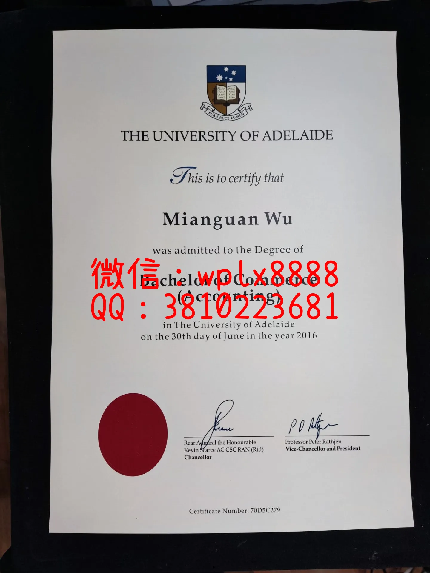 阿德莱德大学