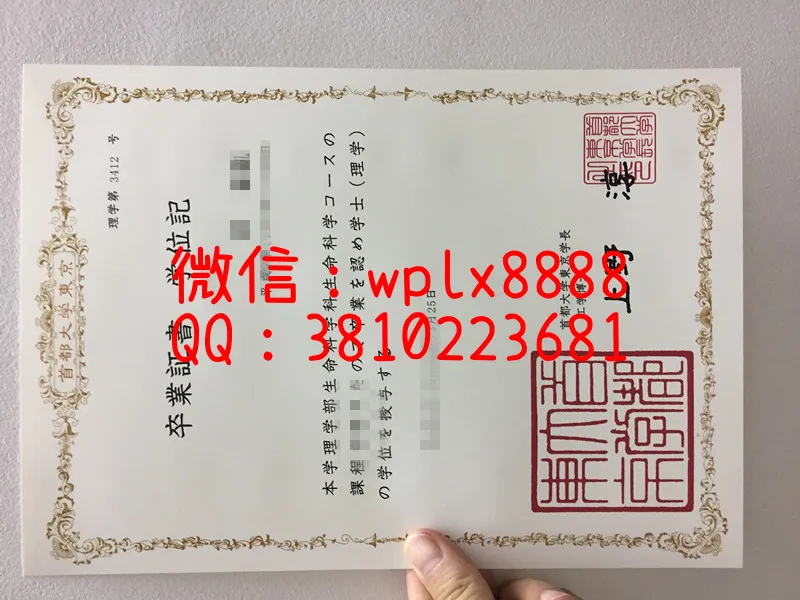 日本首都大学